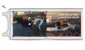 a mug showing a cow stuck in the mud